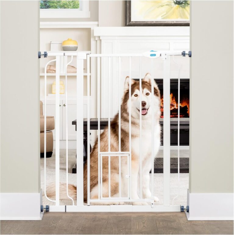 71b yQIvY5L. AC SL1500 Furry Advisor