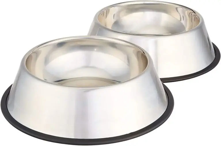 Amazon Basics Dog Bowls Review 2026: Pros and Cons 3 amazon basics dog bowls review 2026 pros and cons gallery 1 Furry Advisor