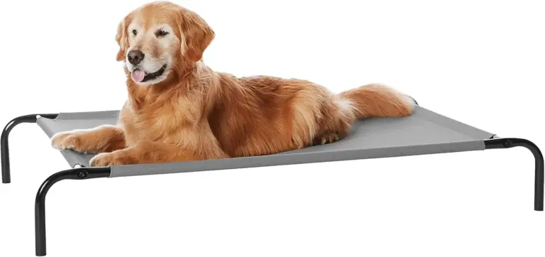 Amazon Basics Elevated Dog Bed Review 2026: Worth Buying? 7 amazon basics elevated dog bed review 2026 worth buying gallery 1 Furry Advisor
