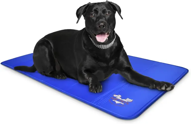 Arf Pets Dog Cooling Mat Review 2026: Is It Worth It? 4 arf pets dog cooling mat review 2026 is it worth it gallery 1 Furry Advisor