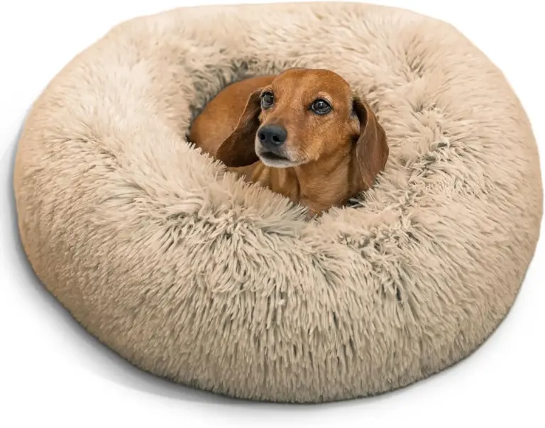 Best Friends by Sheri Bed Review 2026: Calming Bed Verdict 1 best friends by sheri bed review 2026 calming bed verdict gallery 1 Furry Advisor