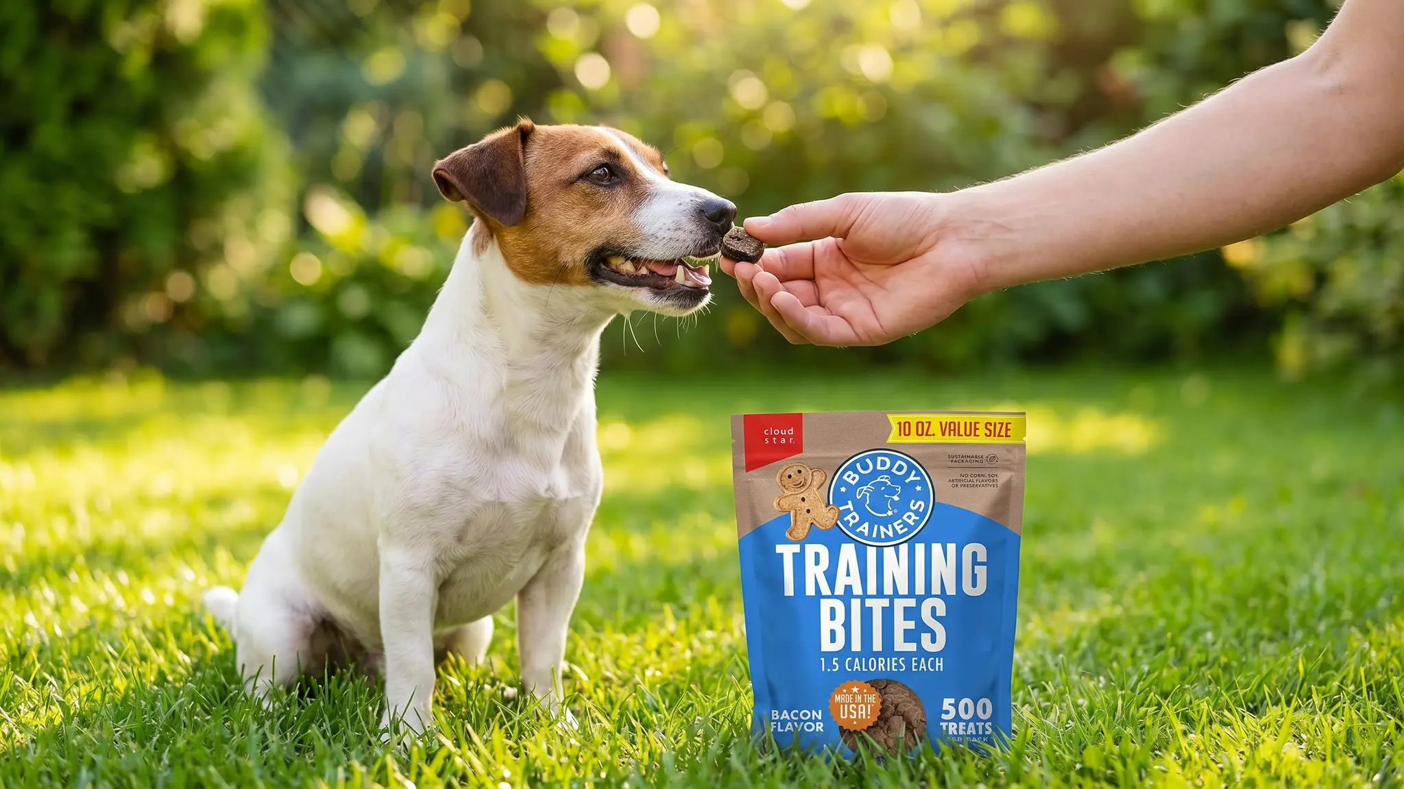 Buddy Biscuits Training Treats in action