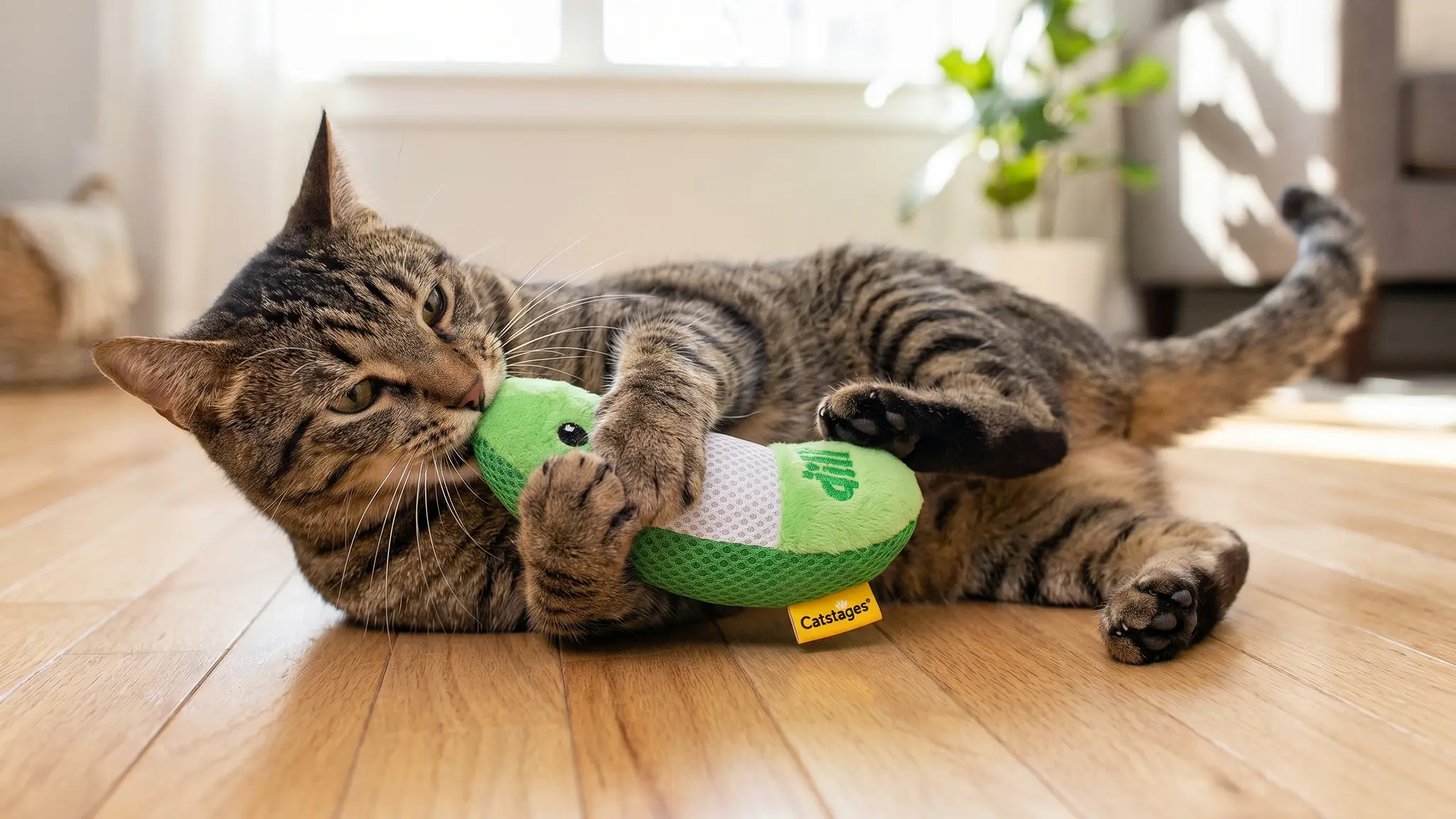 Catstages Pickle Kicker in action