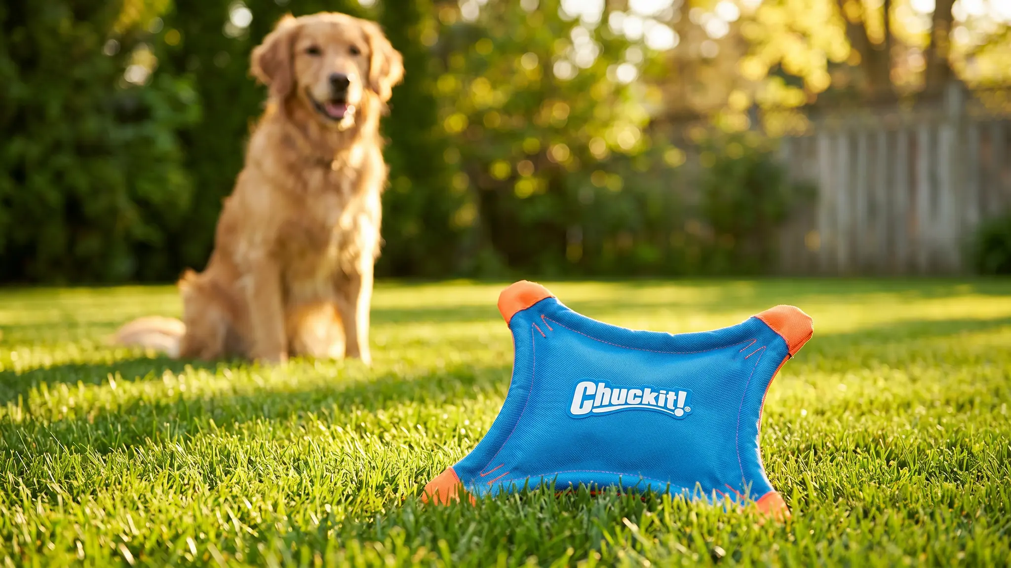 Chuckit Flying Squirrel Review 2026: Dog Toy Verdict 1 Chuckit Flying Squirrel product view