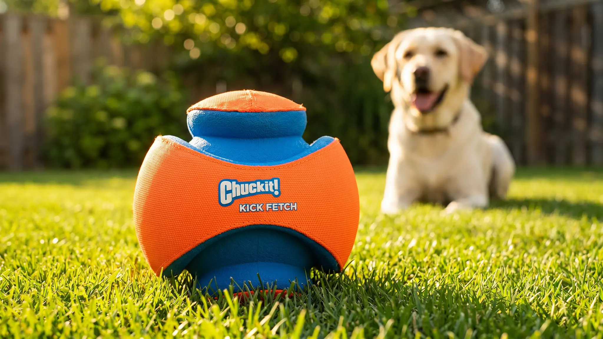 Chuckit Kick Fetch Ball Review 2026: Is It Worth It? 1 Chuckit Kick Fetch Ball product view