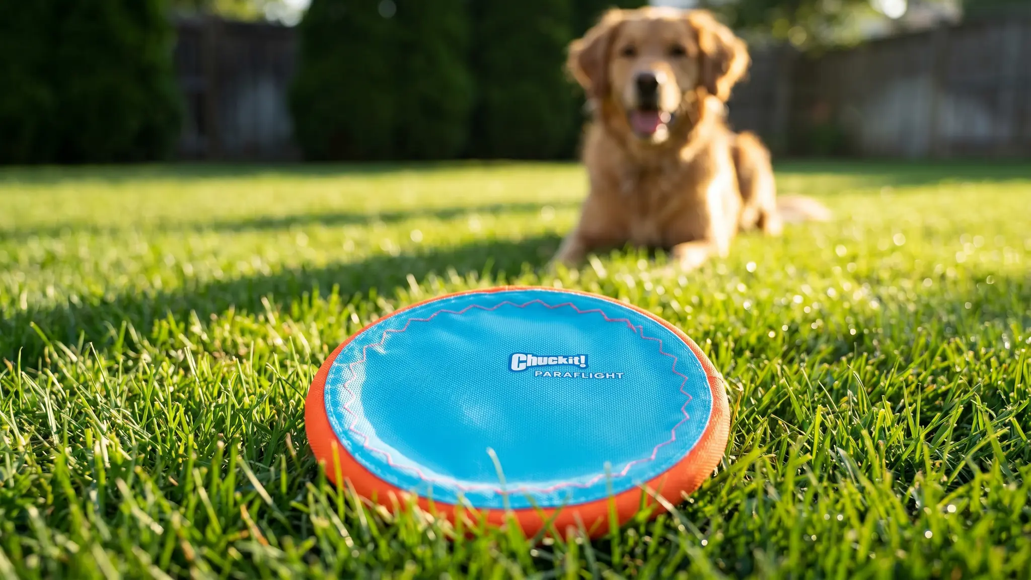 Chuckit Paraflight Flying Disc Review 2026: Is It Worth It? 1 Chuckit Paraflight Flying Disc product view