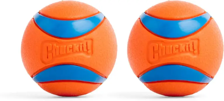 chuckit ultra ball review 2026 worth buying for your dog gallery 1 Furry Advisor