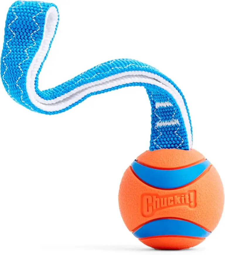 chuckit ultra tug review 2026 should you buy this dog toy gallery 1 Furry Advisor