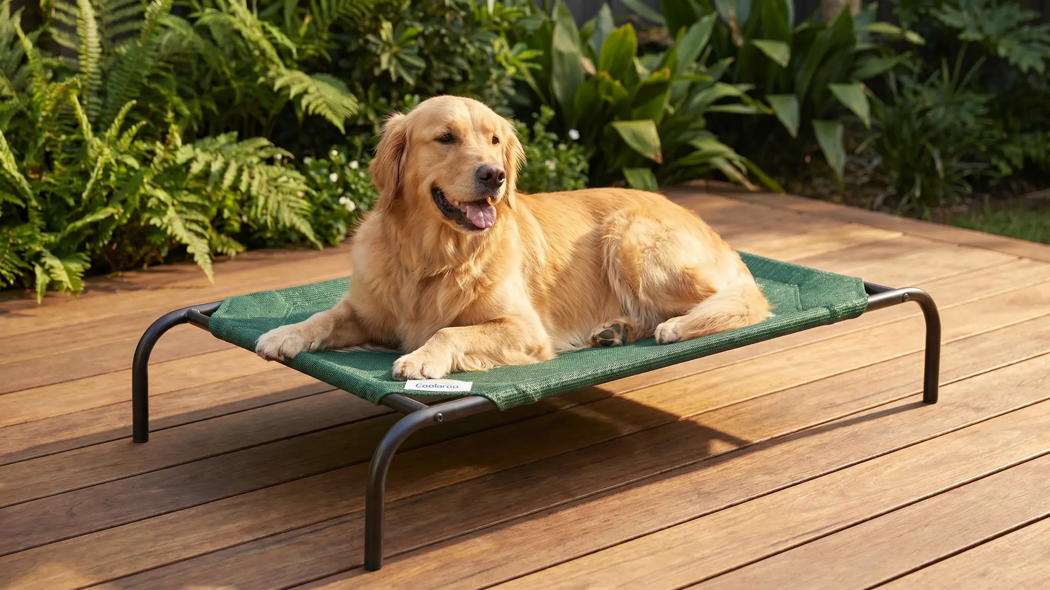 Coolaroo Elevated Dog Bed Review 2026: Pros and Cons 1 Coolaroo Elevated Dog Bed product view