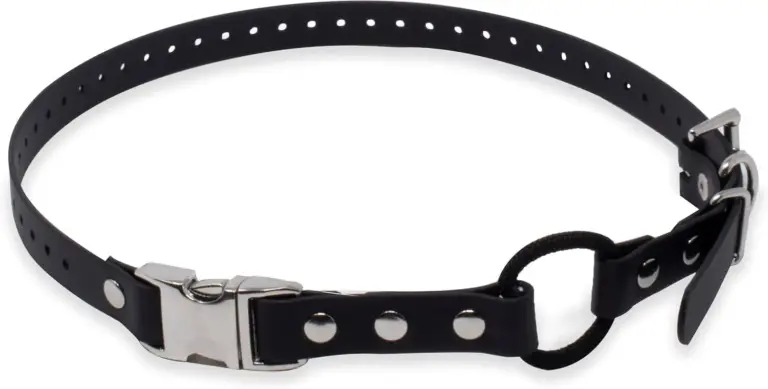 Educator Quick Snap Collar Review 2026: Buyer Verdict 6 educator quick snap collar review 2026 buyer verdict gallery 1 Furry Advisor