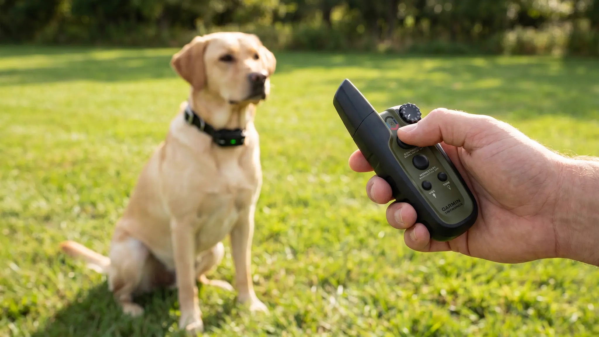 Garmin Sport PRO Collar Review 2026: Dog Trainer Verdict 2 Garmin Sport PRO Collar in action