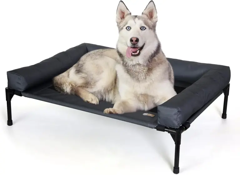 K&H Bolster Pet Cot Review 2026: Elevated Dog Bed Verdict 2 k h bolster pet cot review 2026 elevated dog bed verdict gallery 1 Furry Advisor