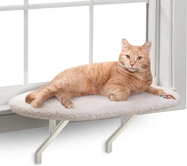 k h cat window perch review 2026 kitty sill pros and cons gallery 1 Furry Advisor