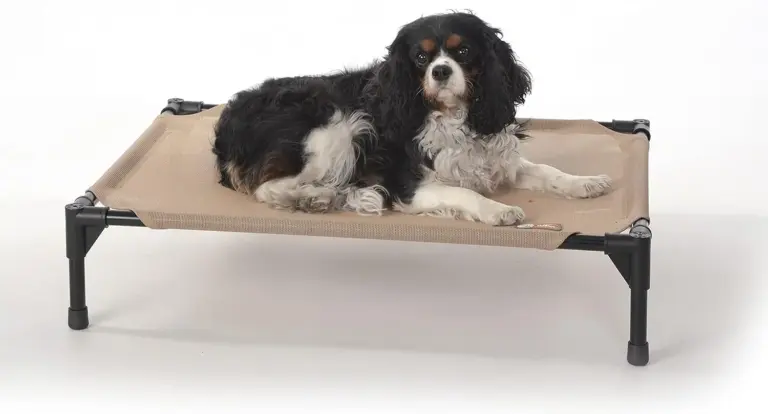 K&H Elevated Dog Bed Review 2026: Cooling Bed Verdict 3 k h elevated dog bed review 2026 cooling bed verdict gallery 1 Furry Advisor