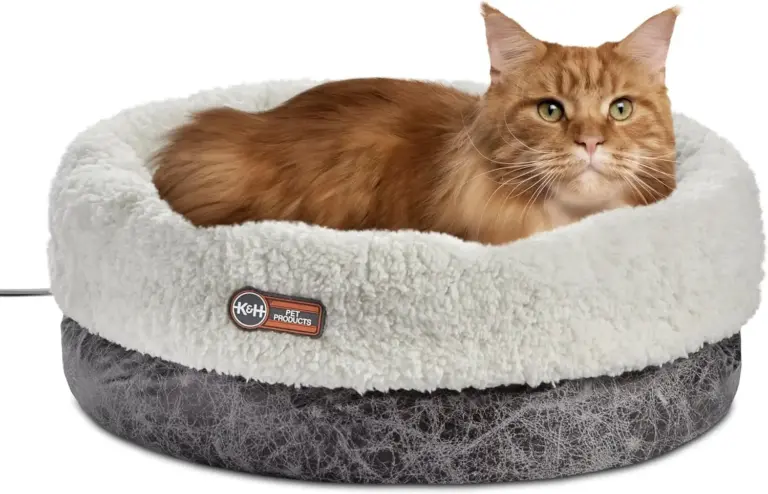 k h heated cat bed review 2026 thermo snuggle cup verdict gallery 1 Furry Advisor