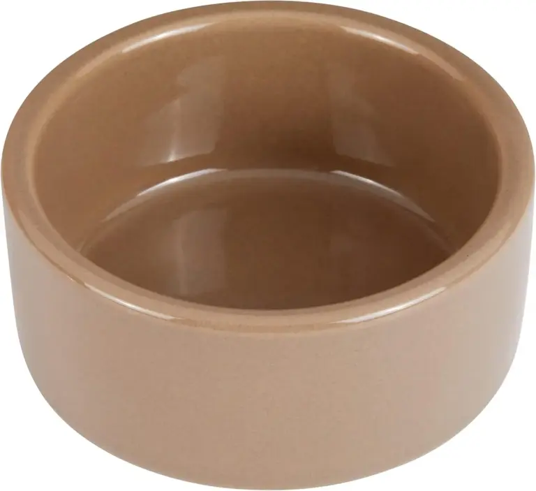 kaytee ceramic hamster bowl review 2026 is it worth it gallery 1 Furry Advisor