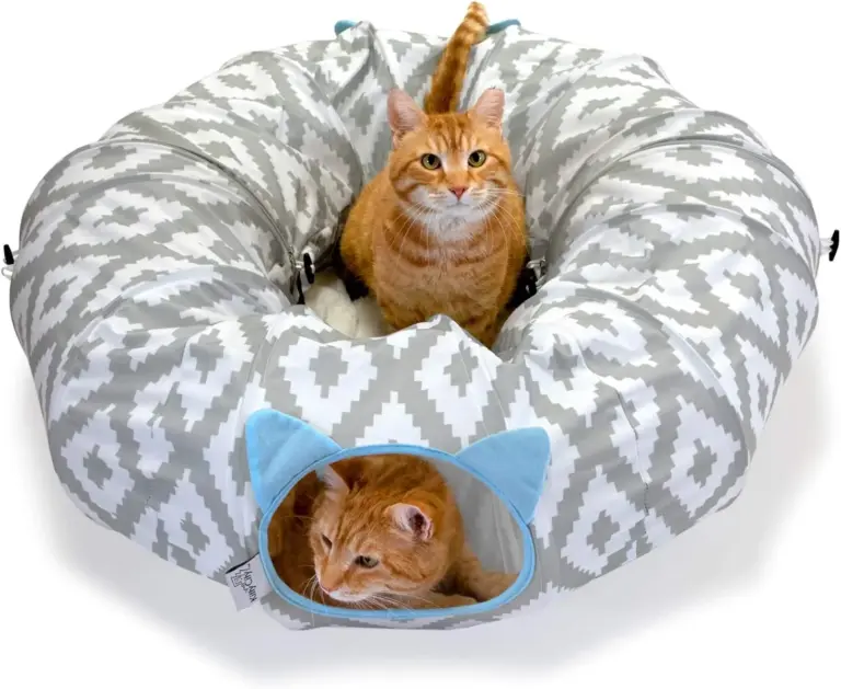kitty city cat tunnel bed review 2026 is it worth it gallery 1 Furry Advisor