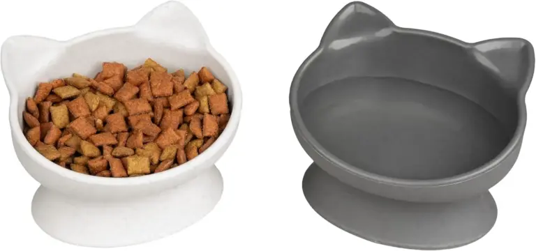 Kitty City Elevated Cat Bowls Review 2026: Worth Buying? 4 kitty city elevated cat bowls review 2026 worth buying gallery 1 Furry Advisor