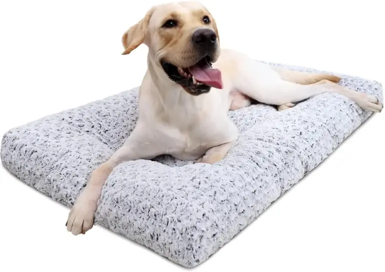 KSIIA Washable Dog Bed Review 2026: Crate Mat Pros & Cons 6 ksiia washable dog bed review 2026 crate mat pros cons gallery 1 Furry Advisor