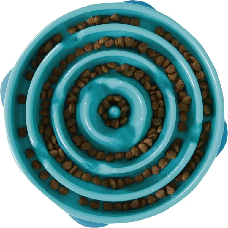 Outward Hound Fun Feeder Review 2026: Slow Bowl Pros and Cons 3 outward hound fun feeder review 2026 slow bowl pros and cons gallery 1 Furry Advisor