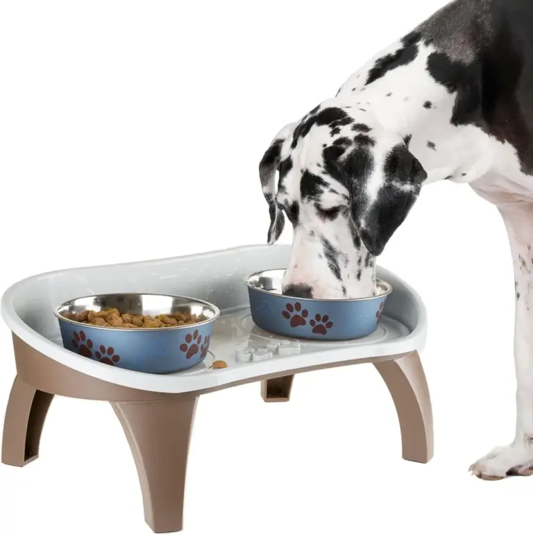 petmaker elevated feeding tray review 2026 is it worth it gallery 1 Furry Advisor