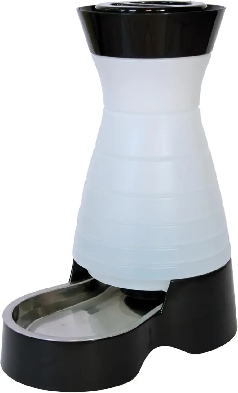 PetSafe Water Station Review 2026: Gravity Dispenser Verdict 3 petsafe water station review 2026 gravity dispenser verdict gallery 1 Furry Advisor