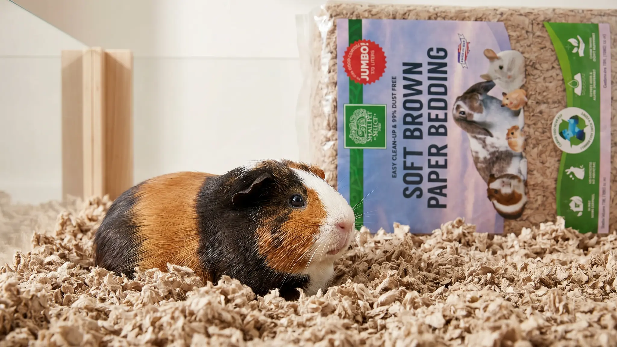 Small Pet Select Bedding Review 2026: Is It Worth It? 2 Small Pet Select Bedding in action