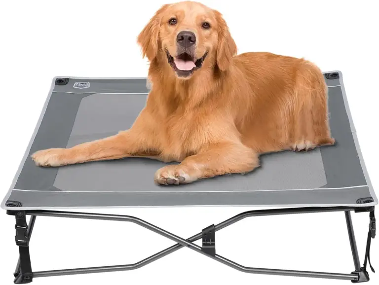 TIMBER RIDGE Dog Bed Review 2026: Elevated Outdoor Cot Verdict 4 timber ridge dog bed review 2026 elevated outdoor cot verdict gallery 1 Furry Advisor