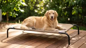 Coolaroo Original Elevated Dog Bed - Breathable Off-The-Ground Pet Bed with Cooling Fabric product view