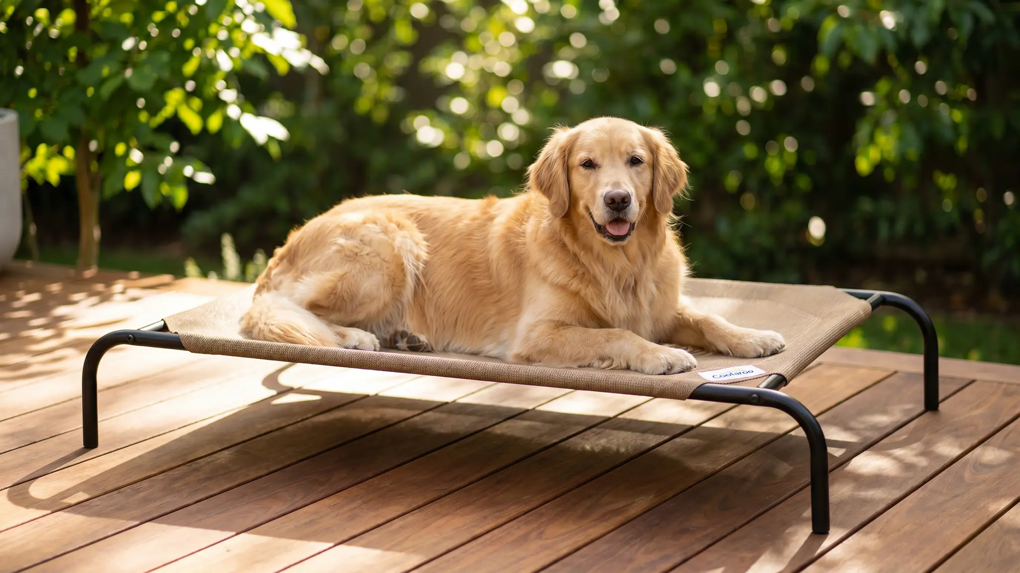 Coolaroo Original Elevated Dog Bed - Breathable Off-The-Ground Pet Bed with Cooling Fabric product view