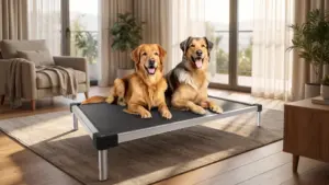 FXW TitanNest Cooling Chew-Proof Elevated Dog Bed for Extra Large Dogs | Easy to Clean, Pr product view