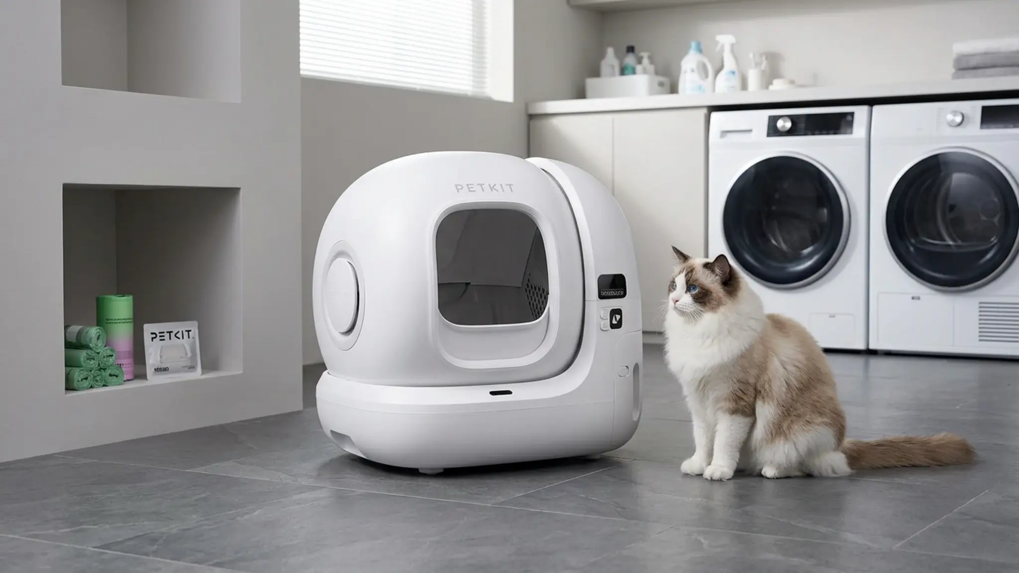 PETKIT PuraMax 2 Automatic Self-Cleaning Cat Litter Box, App Control Automatic Litter Box in use